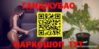 ПСИЛОЦИБИНОВЫЕ ГРИБЫ Аргун