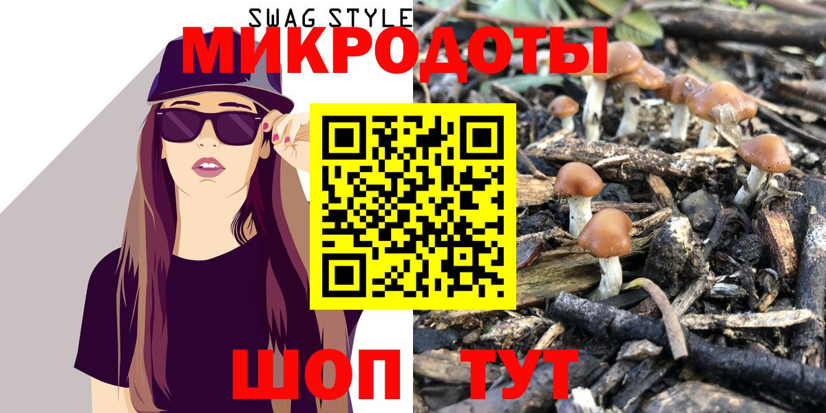 Новотроицк  Галлюциногенные грибы ЛСД  Галлюциногенные грибы Psilocybe  Вход с VPN 